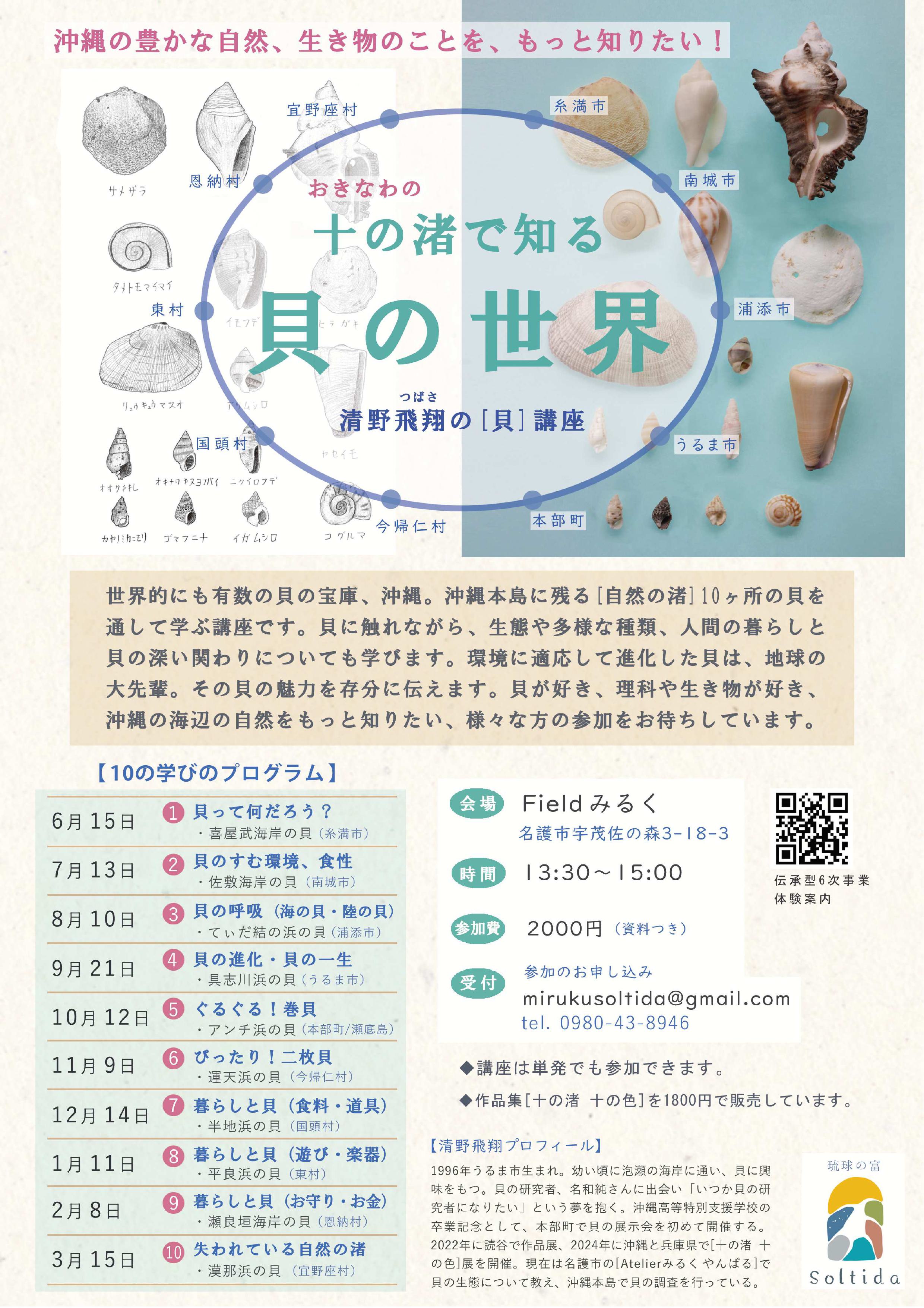 おきなわの十の渚で知る貝の世界　清野飛翔の「貝」講座